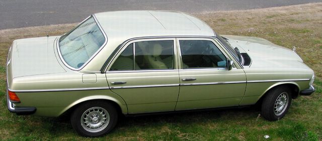 881-Silberdistelmetallic